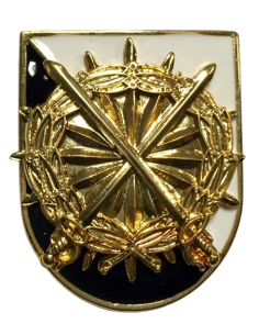 Distintivo Curso de especialista en INTELIGENCIA , TÁCTICA Y SEGURIDAD