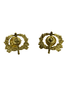 Emblema de Solapa Intervención (Par)