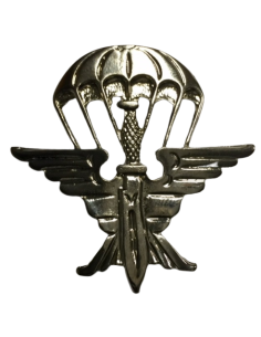 Distintivo de brazo de Permanencia en la EZAPAC