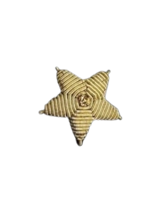 Estrella de 5 Puntas Bordada