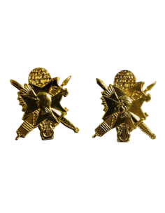 Emblema de Solapa de la Academia Central de la Defensa (Par)