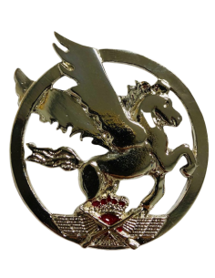 Emblema de Boina SEADA