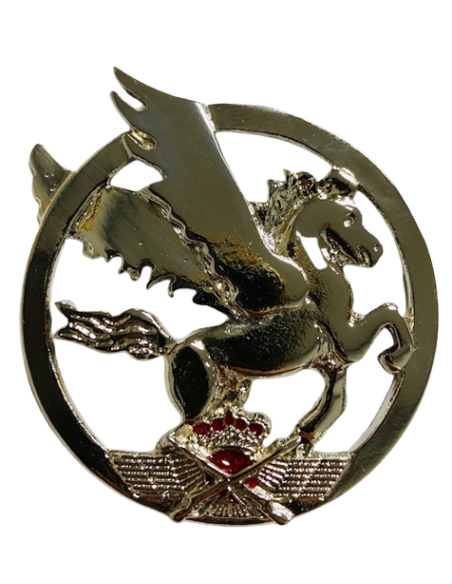 Emblema de Boina SEADA