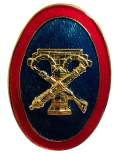 Distintivo de función alumno curso de Ingenieros Politécnico 