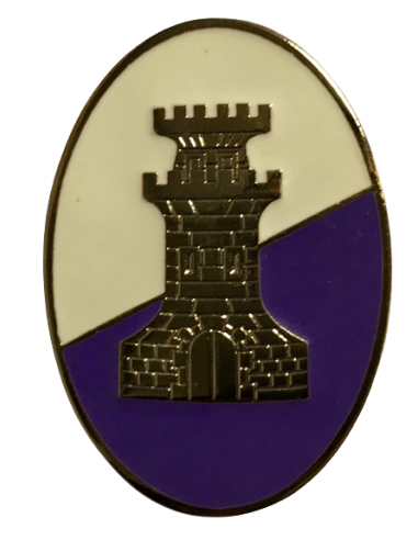 Distintivo Ovalado Academia General Militar  Ingenieros partido