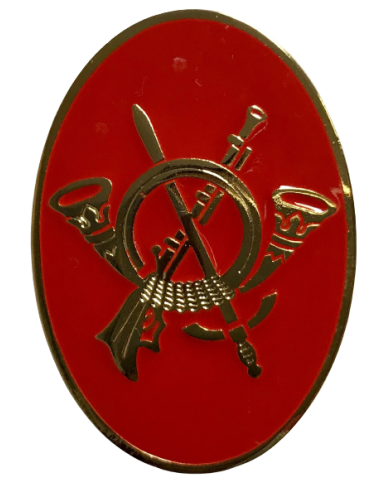 Distintivo Academia General Militar Ovalado Infantería