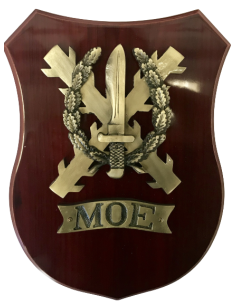 Metopa Mando Operaciones Especiales MOE