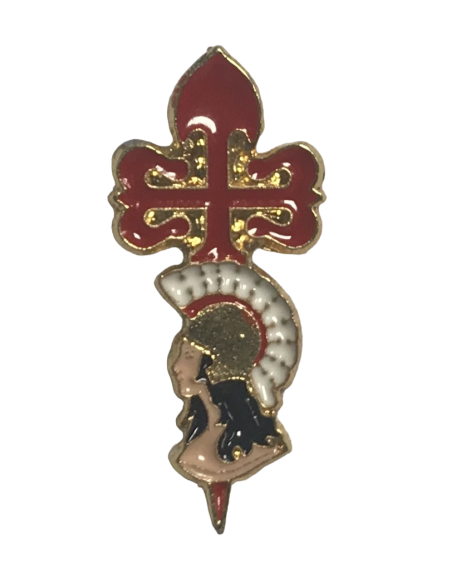 Pin AGBS color