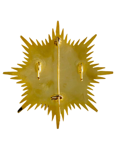 Gran Placa Doctor en Derecho con estuche de lujo Rojo