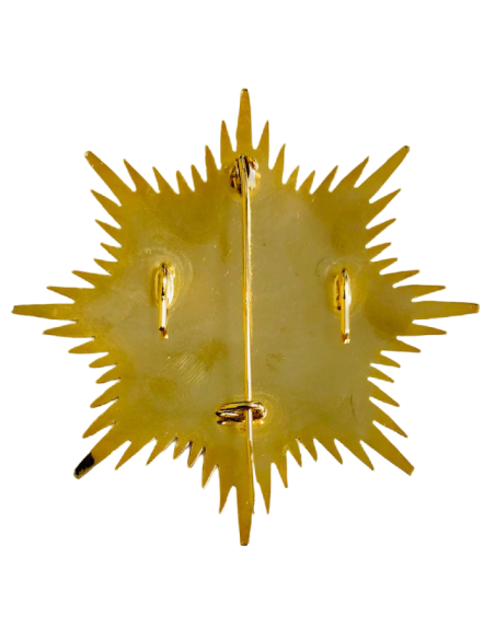 Gran Placa Doctor en Derecho con estuche de lujo Rojo