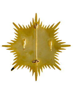 Gran Placa Doctor en Medicina Amarilla 2