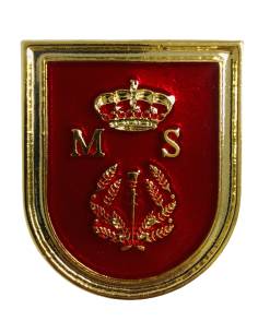 Distintivo del Máster en Dirección Estratégica de Seguridad Pública Policía Nacional