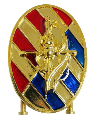 Distintivo del Curso Básico de Emergencia de la FAS para Of y S/Of