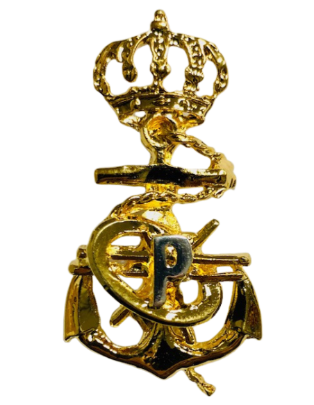 Distintivo de Programador de sistemas de la Armada