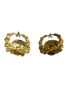 Emblema de solapa Cartografía (Par)