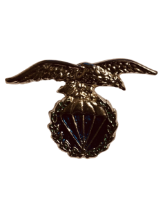 Pin Brigada Paracaidista Color Dorado