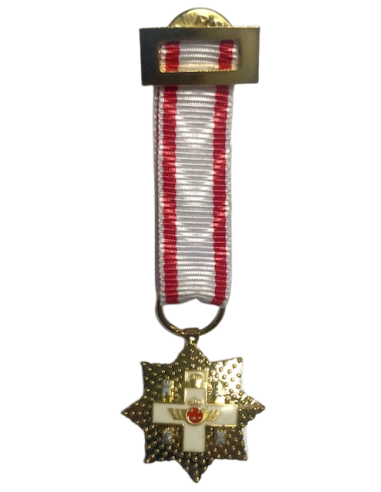 Medalla Miniatura Placa Mérito Aeronáutico 