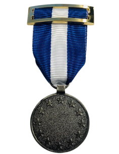 Medalla PESD ( Planeamiento y Apoyo )