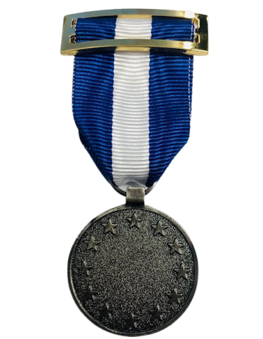 Medalla PESD ( Planeamiento y Apoyo )