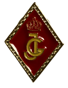 Pin pequeño Rombo Jóvenes Guardias 