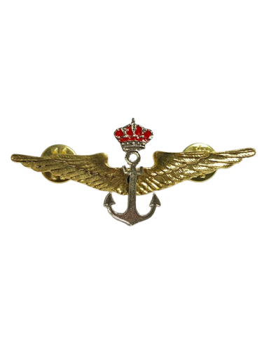 Distintivo de la Flotilla de Aeronaves