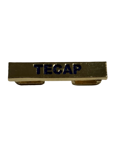 Barra especialidades Fundamentales TECAP
