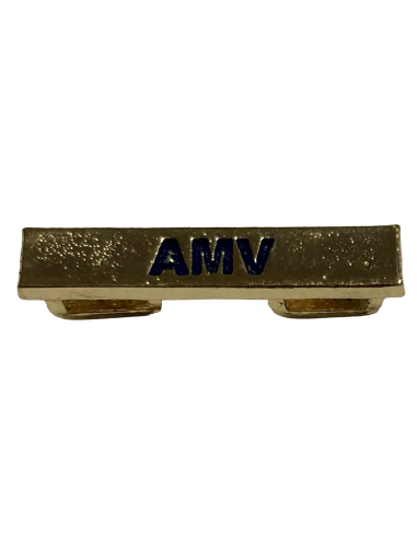 Barra especialidades Fundamentales AMV