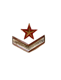 Galón de Boina metálico Subteniente GAR