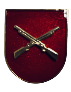 Distintivo Técnico en Seguridad y Defensa