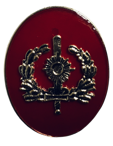 Distintivo de Pecho del Cuerpo de Intervención Guardia Real Felipe VI