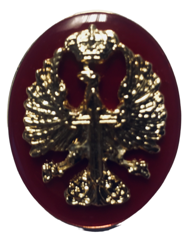 Distintivo de Pecho de la Unidad del Ejército de Tierra Guardia Real Felipe VI