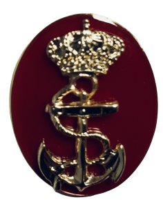 Distintivo de Pecho de la Unidad de la Armada Guardia Real Felipe VI 