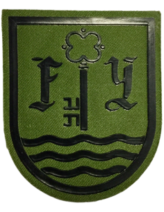 Parche de Brazo Cuartel General Fuerza Terrestre Verde