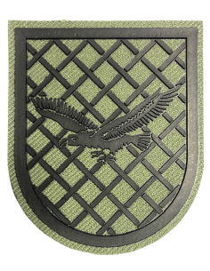 Parche representación dirección general de infraestructura