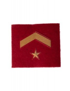 Divisas de chandal Ejercito de Tierra 2