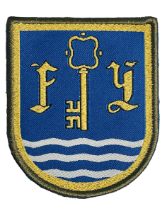 Parche de brazo de Bonito Cuartel General y Apoyos de la Fuerza Terrestre