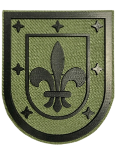 Parche de brazo adiestramiento y doctrina Flor de lis verde (Nuevo)