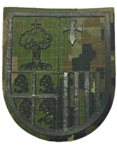 Parche de brazo de la JTM “ARAGÓN I ” verde pixelado