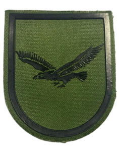 Parche de Brazo de la Inspección Subinspección General del Ejército Nº1 Verde