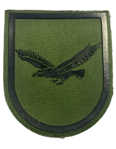 Parche de Brazo de la Inspección Subinspección General del Ejército Nº1 Verde