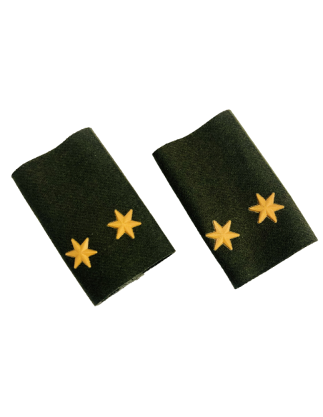 Manguitos Cuerpos Comunes (Par) - Armada Española