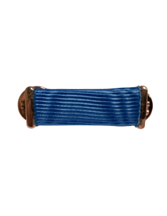 Pasador de diario Completo del Mérito social Penitenciario en Bronce