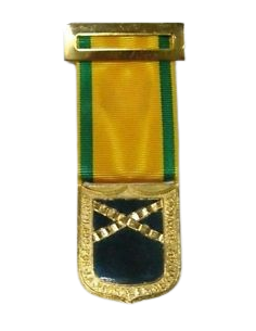 Medalla Mutilado por la patria en acto de Servicio Azul