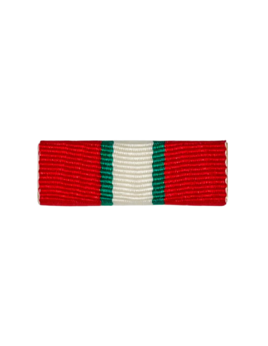 Pasador de Condecoración Medalla al Merito en Emergencia y Protección civil