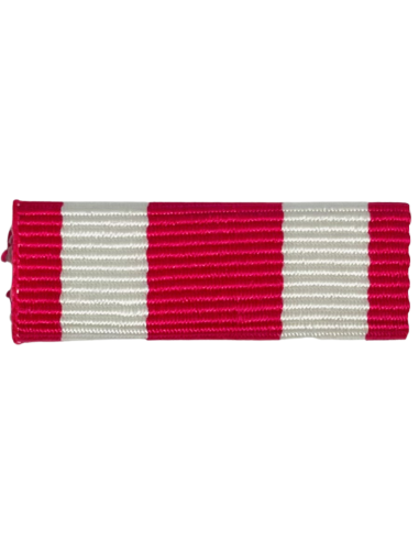 Pasador de Condecoración Medalla por Servicio Meritorio EE.UU