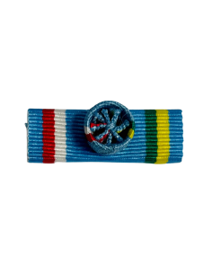 Pasador Medalla Medalla de la Orden RCA Oficial 