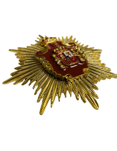 Gran Placa Doctor en Arquitectura e Ingeniería