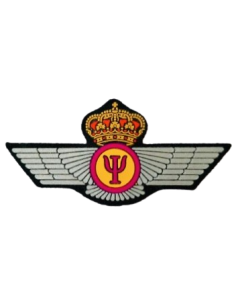 Roquisqui PVC Curso Aptitud Psicología Areonáutica