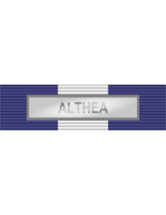 Pasador de Condecoración Medalla de la Planificación y...