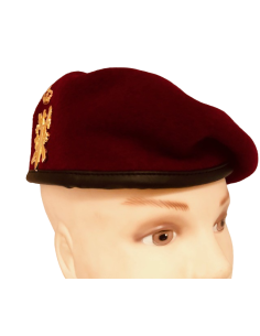 Boina SEGEN- RINT 1 - BON CG CSTAD - BON PM 2